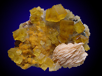 Fluorite and baryte. Collection Gérard Massé