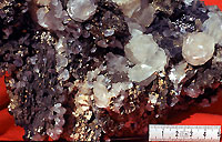 Pyrrhotite - Marcassite - Trepca