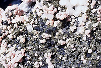 Galene, sphalerite (1 cm), arsenopyrite,rhodochrosite, calcite & pyrite