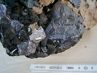 Trepca - Blende marmatite et galène