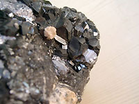 Trepca - Blende marmatite et galène