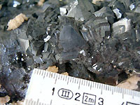 Trepca - Blende marmatite et galène