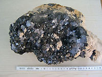 Trepca - Blende marmatite et galène