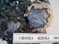 Trepca - Blende marmatite et galène