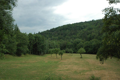 S&eacute;nouire